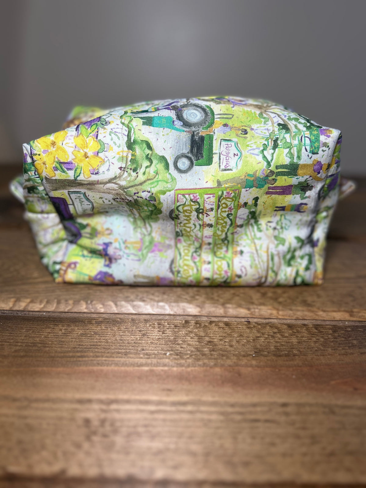 Mardi Gras Makeup Bag